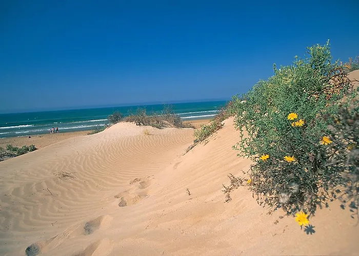 Igv Club Baia Samuele 4*